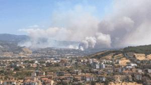 incendi italia