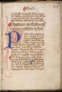 diritti della magna carta