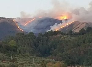 incendi italia