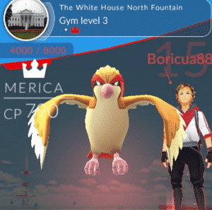 Pokémon Go Merica