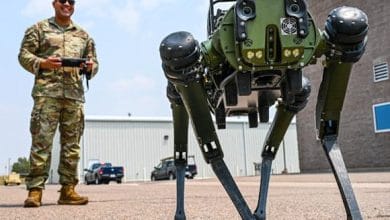 Chappie il cane robot