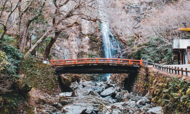 un ponte giapponese sotto una cascata, contornato di rocce e alberi tipici della cultura e tradizione giapponese
