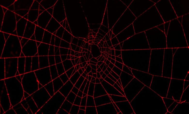 una ragnatela di ragno rossa su uno sfondo completamente nero
