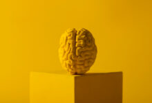 un cervello umano per indicare la difficoltà di stabilire il QI