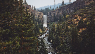 oregon