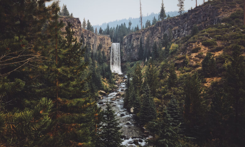 oregon