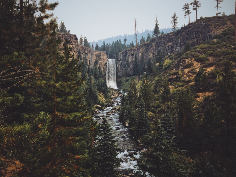 oregon