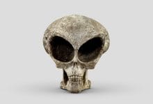 imamgine di un finto cranio di alieno a scopo rappresentativo