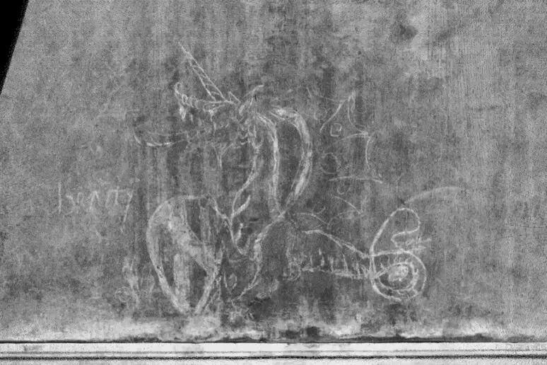 un drago marino alato disegnato con il carboncino e trovato a vinci, di possibile attribuzione a leonardo da vinci