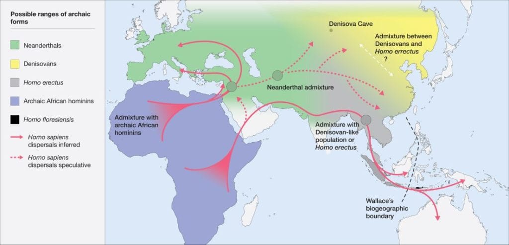 neanderthal path