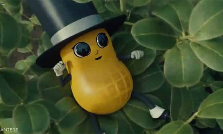 baby nut