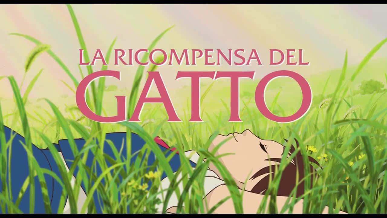 la ricompensa del gatto