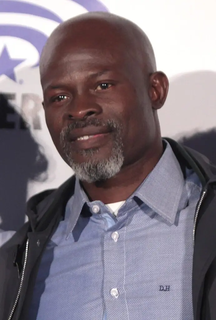 african history x djimon hounsou