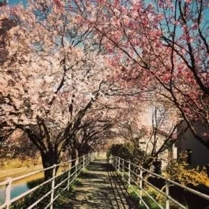 solstizio di primavera