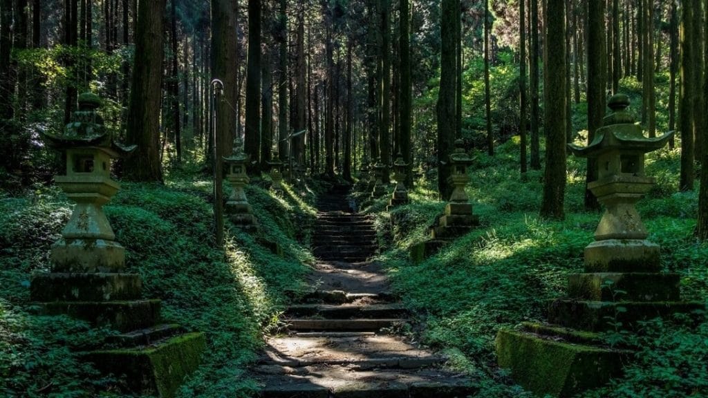 una foresta completamente verde in giappone con un sentiero che sembra salire con delle scale