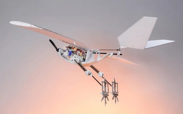 Drone costruito con zampe di uccello in volo