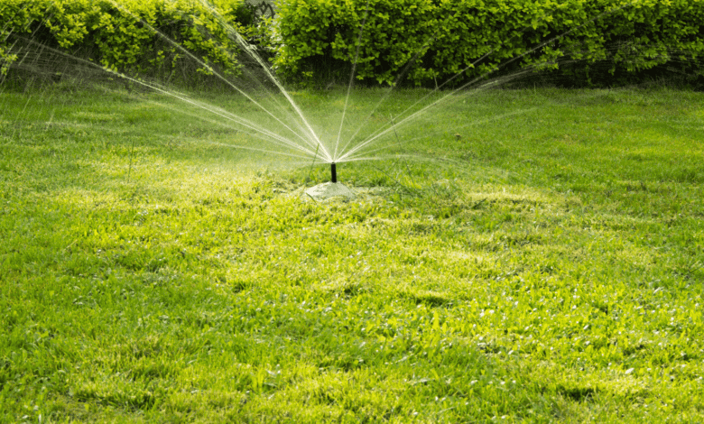 irrigazione del prato giardino