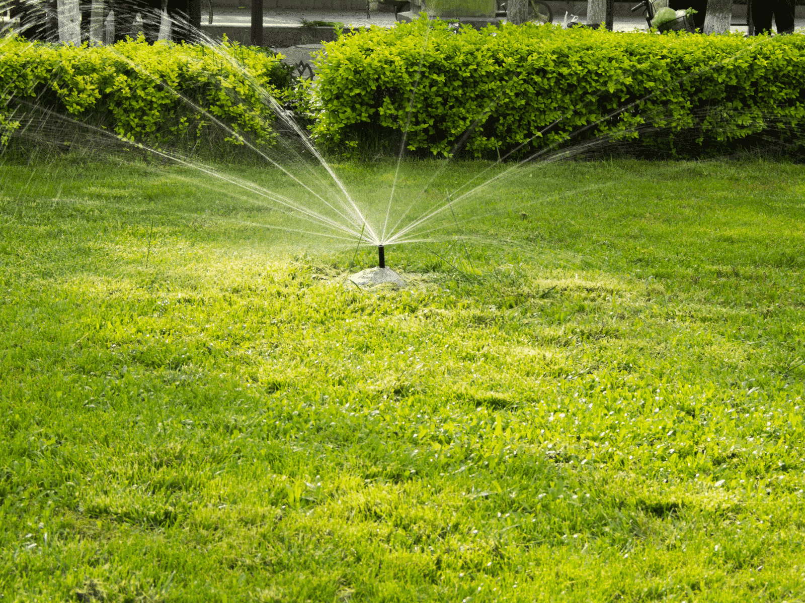 irrigazione del prato giardino