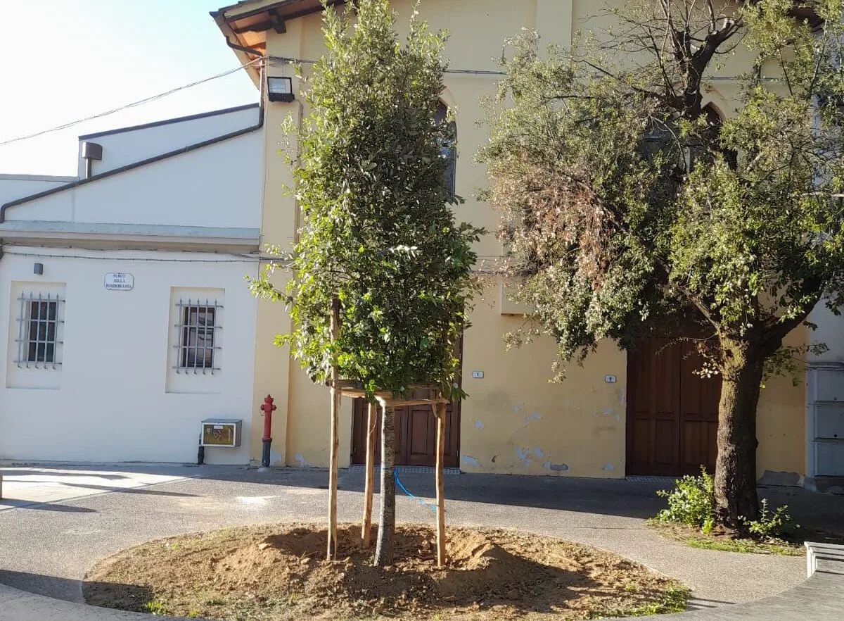 leccio ecovinci