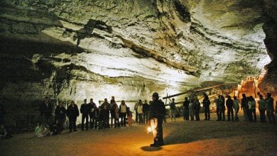 Mammoth Cave National Park