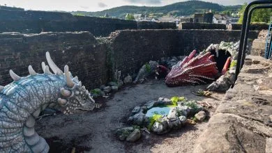 drago bianco e drago rosso che si guardano nel giardino del castello in galles