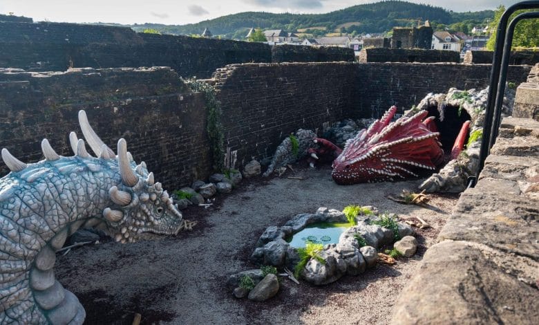 drago bianco e drago rosso che si guardano nel giardino del castello in galles