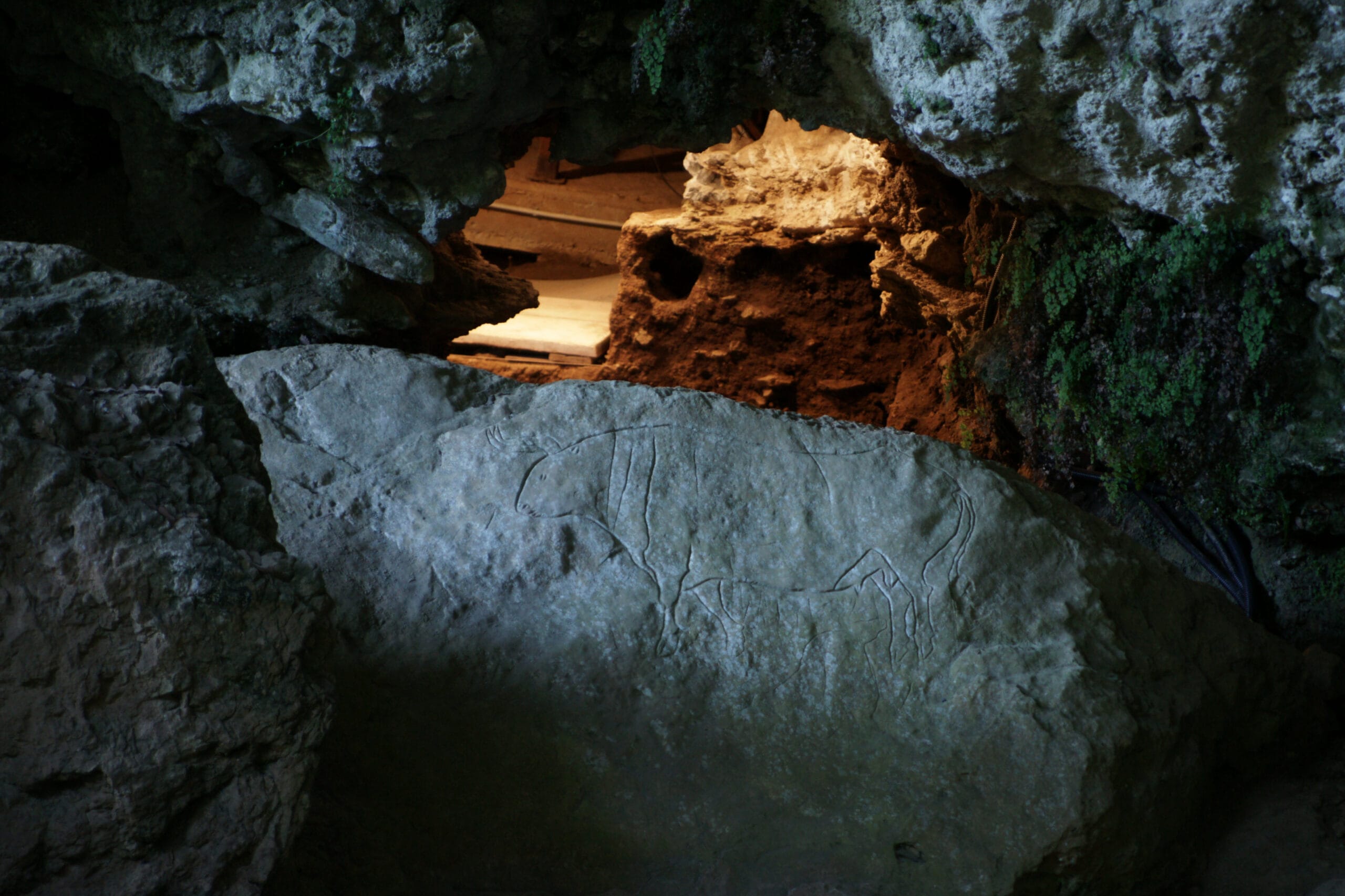 grotta del romito