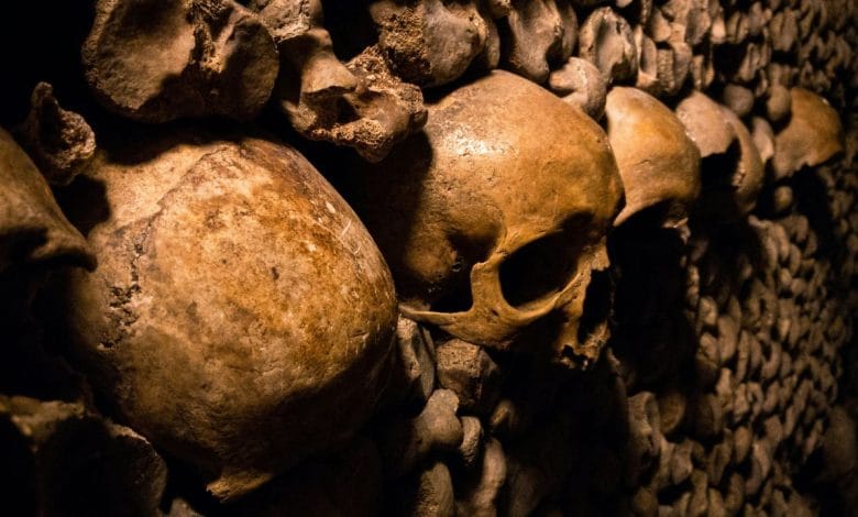 una serie di teschi impilati e messi attaccati ad un muro