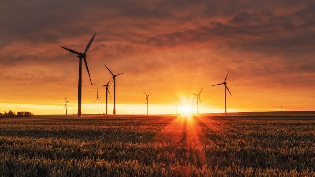 un champ avec de gigantesques éoliennes, avec un soleil couchant