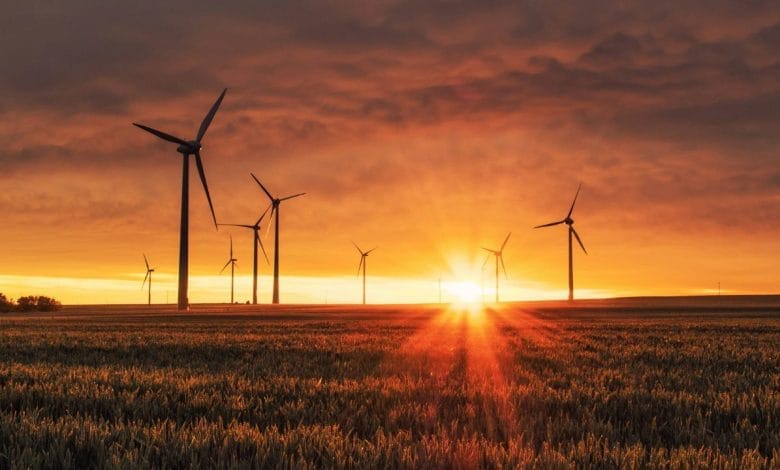 un campo con delle gigantesche pale eoliche, con un sole che sta tramontando