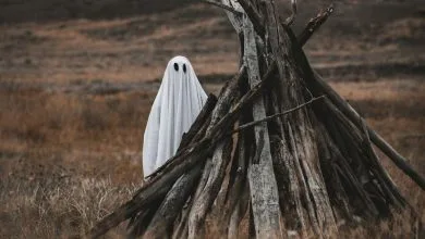 un bambino con un lenzuolo sulla testa e due buchi per gli occhi, dietro una catasta di legno. una prateria come sfondo