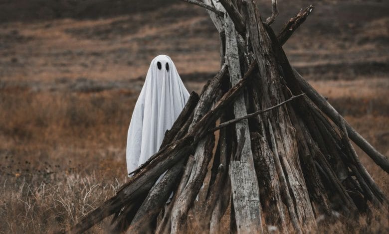 un bambino con un lenzuolo sulla testa e due buchi per gli occhi, dietro una catasta di legno. una prateria come sfondo