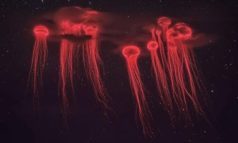 evento atmosferico noto come sprite che genera figure simili a meduse rosse nel cielo