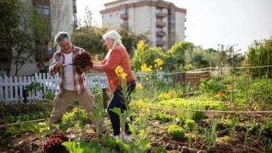 uomo e donna anziani che coltivano l'orto in città