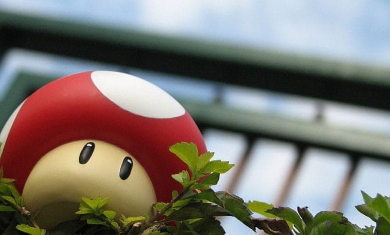 un fungo rosso e bianco di super mario su dell'erba finta