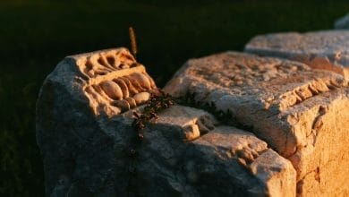 una roccia antica illuminata dal sole, sembra una sezione di una colonna