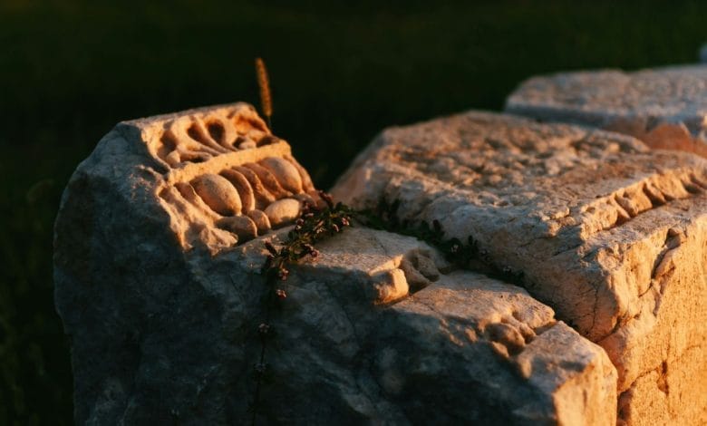 una roccia antica illuminata dal sole, sembra una sezione di una colonna