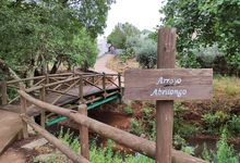 ponte più piccolo del mondo