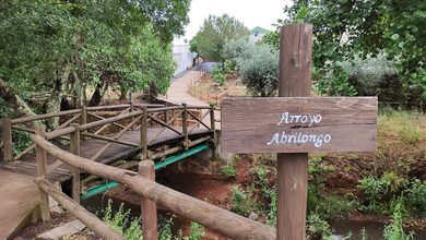 ponte più piccolo del mondo