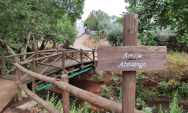 ponte più piccolo del mondo