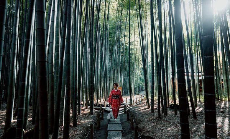 una donna con kimono tipico giapponese che cammina in mezzo ad una foresta di arbusti che sembrano bambu