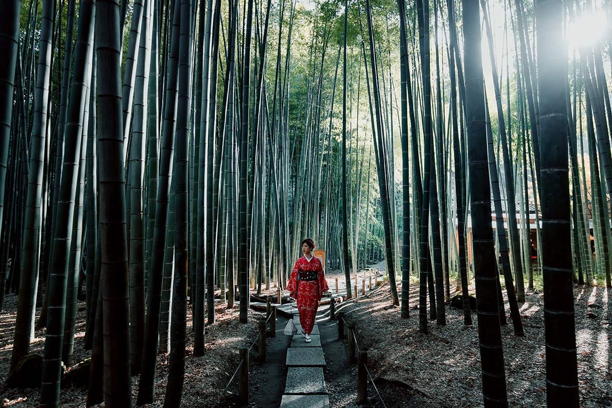 una donna con kimono tipico giapponese che cammina in mezzo ad una foresta di arbusti che sembrano bambu