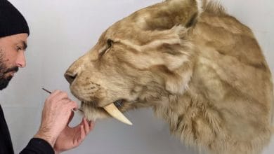 L'artista Ami Zarug a lavoro sulla sua opera d'arte che ritrae uno Smilodon