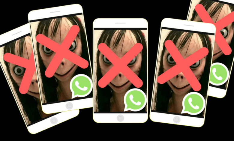 Momo WhatsApp