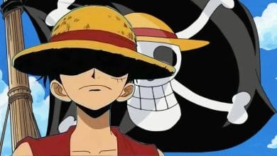 bandiera one piece