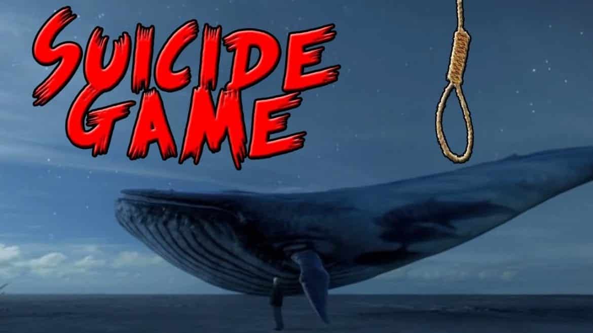 Blue Whale