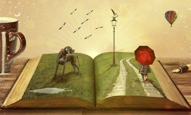 book blogger
