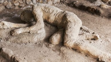 calchi di pompei