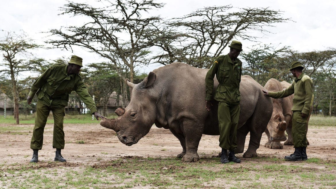 sudan