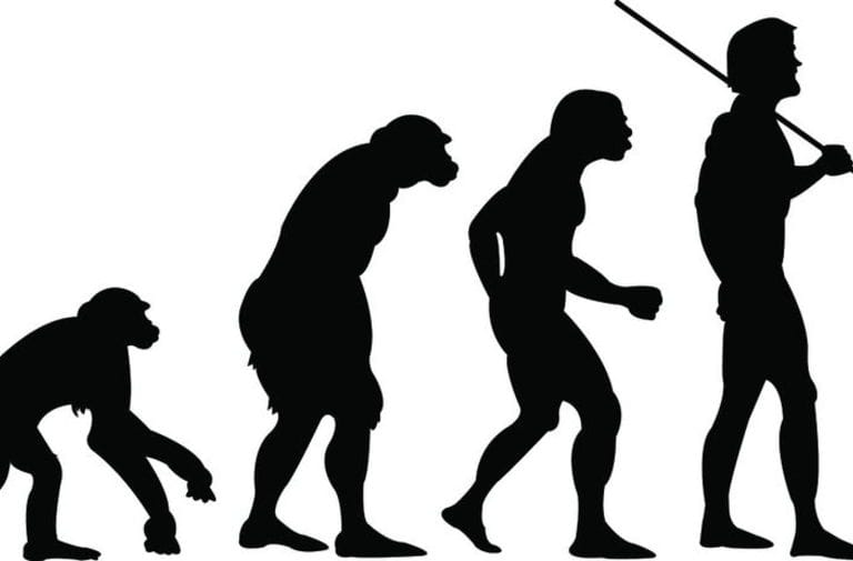 Evolução